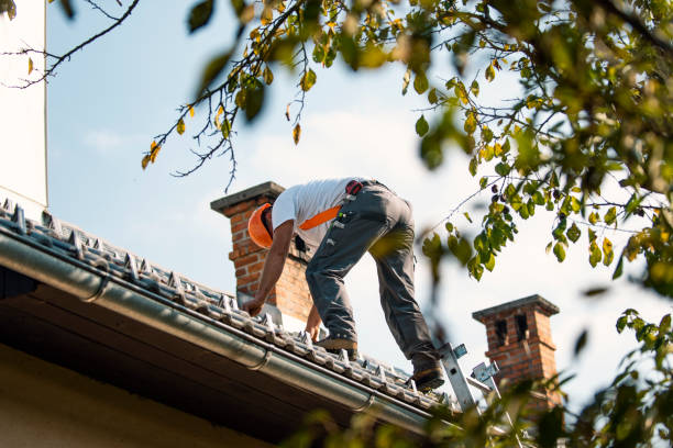 Best Roof Repair Specialists  in Winlock, WA