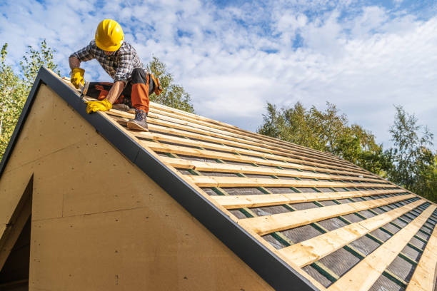 Best Metal Roofing Contractor  in Winlock, WA